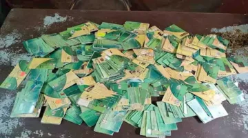 "التموين" تكشف تفاصيل منحة الـ400 جنيه بعد العيد وترحيل الرصيد