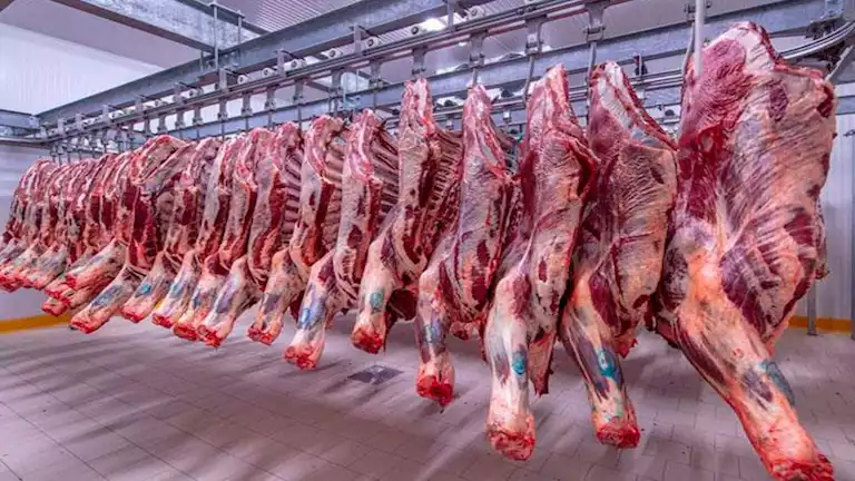 ارتفاع أسعار اللحوم والعدس والجبن اليوم الجمعة بالأسواق