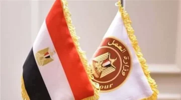 للأطفال حتى 4 سنوات.. إلزام الشركات بتوفير حضانات للنساء العاملات