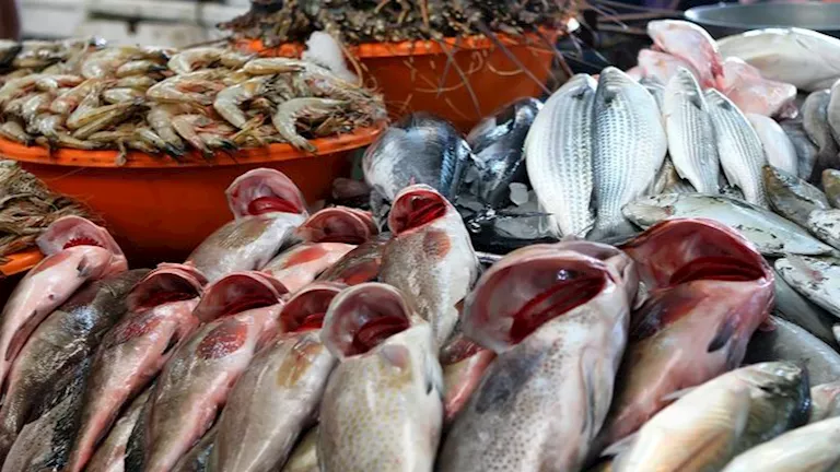 أسعار الأسماك والمأكولات البحرية اليوم في سوق العبور.. ارتفاع البلطي
