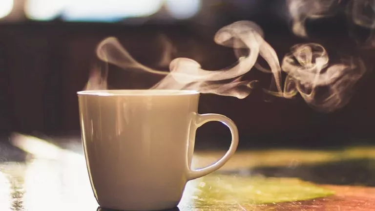 أستاذ غذاء ينصح بتناول مشروب دافئ قبل الإفطار: لن تتخيل التأثير والشبع