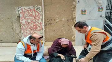 من الرصيف إلى قصر الاتحادية.. الرئيس السيسي يلتقي المهندسة ليلى إبراهيم