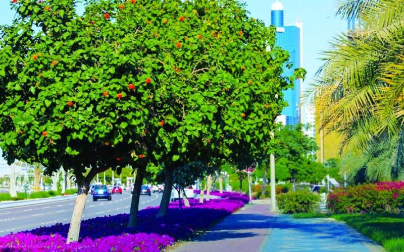 92 جائزة لبلدية أبوظبي خلال 2025 في التفوق المؤسسي والابتكار.
