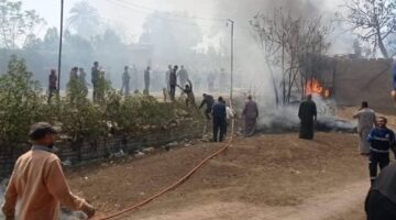 السيطرة على حريق أشجار ببركة السبع في المنوفية