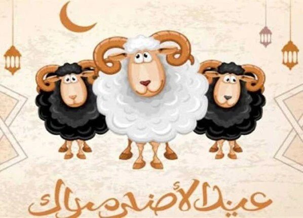موعد عيد الأضحى 2026.. قائمة الإجازات الرسمية حتى نهاية العام