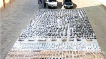 بقيمة 230 مليون جنيه.. ضبط أكثر من 3 أطنان من الهيدرو والحشيش في السويس