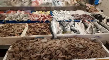 أسعار الأسماك والمأكولات البحرية اليوم الاثنين في سوق العبور