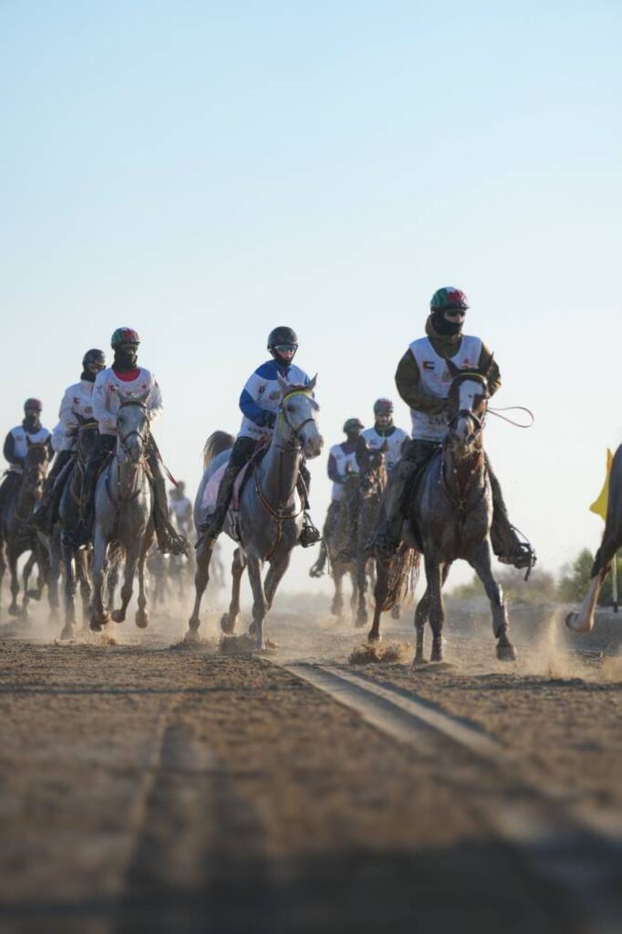 النسخة الـ 18 من «مهرجان ولي عهد دبي للقدرة» تشهد بدء «كأس اليمامة للأفراس»