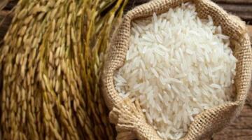 سعر الأرز اليوم في مصر الثلاثاء 31 مارس 2026