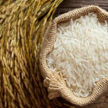 سعر الأرز اليوم في مصر الثلاثاء 31 مارس 2026