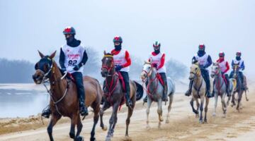كأس اليمامة يذكي التحدي في مهرجان ولي عهد دبي للقدرة