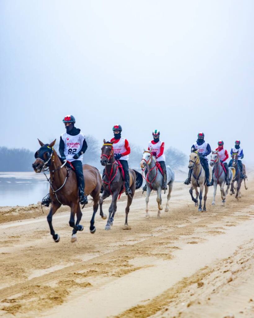 كأس اليمامة يذكي التحدي في مهرجان ولي عهد دبي للقدرة