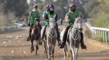 مهرجان ولي عهد دبي للقدرة يستمر بكأس اليمامة اليوم