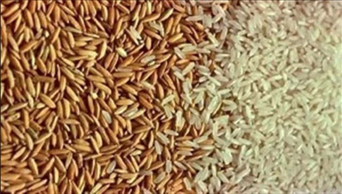 أسعار الأرز الشعير اليوم الاثنين 6 أبريل 2026.. الحبة العريضة والرفيعة بكام؟