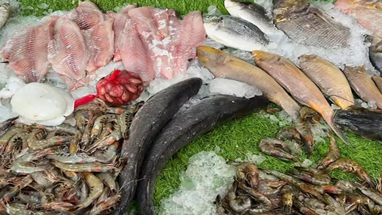 أسعار الأسماك والمأكولات البحرية اليوم في سوق العبور.. 84 جنيهاً لسعر كيلو البلطي