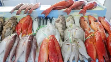 أسعار الأسماك والمأكولات البحرية اليوم في سوق العبور.. تراجع البلطي