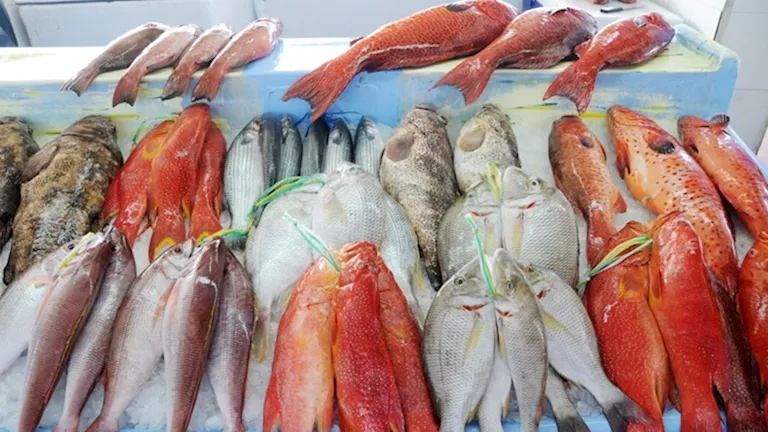 أسعار الأسماك والمأكولات البحرية اليوم في سوق العبور.. تراجع البلطي