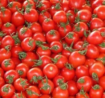 أسعار الطماطم والخضروات اليوم الاثنين 6 أبريل 2026 في سوق العبور