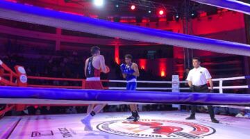 بدء ثالث أيام بطولة الجمهورية لرجال الملاكمة وانتقاء المواهب للمنتخب الأول