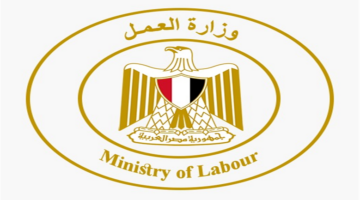 براتب يبلغ 10 آلاف جنيه.. وزارة العمل تعلن عن 160 وظيفة شاغرة بمدينة بدر