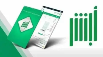 بطاقة عرض المركبة تقطع الطريق على محتالي منصات التواصل الاجتماعي – أخبار السعودية