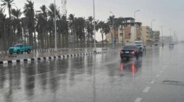 حالة الطقس غدًا الأحد.. الأرصاد تُحذِّر من شبورة وأمطار على هذه المناطق