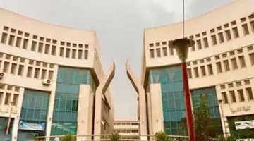 مدته 10 أيام.. تفاصيل برنامج إعداد المدربين (TOT) وتطوير الموارد البشرية