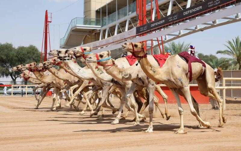 مهرجان ختامي المرموم 2026 يعزز صدارته بأرقام قياسية ومشاركة كبيرة