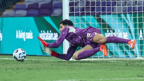 مينا ماهر: مصطفى شوبير حارس مصر الأول من وجهة نظري