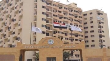 بهاتف موحد و4 أرقام «واتساب».. دليلك الكامل لتقديم شكاوى الاتصالات والإنترنت