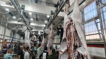 غرامة 10 آلاف جنيه للمخالفين.. خريطة المجازر الحكومية للأضاحي ومواعيد العمل