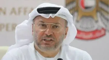 قرقاش: الهجوم الإيراني على الإمارات والخليج كان مبيتاً منذ سنوات