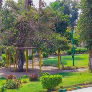 مواعيد فتح الحدائق في عيد الأضحى.. دلليك للخروج مع الأسرة بأسعار مناسبة