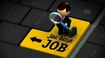 وظائف شاغرة براتب 11 ألف جنيه.. اعرف التخصصات المطلوبة وشروط التقديم