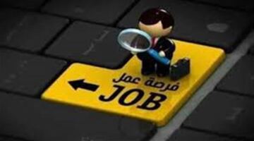وظائف شاغرة برواتب تصل إلى 11 ألف جنيه.. الشروط وطريقة التقديم