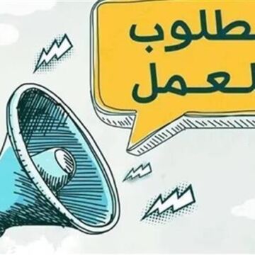 وظائف في القاهرة والإسماعيلية.. فرص عمل لمندوبي مبيعات وسائقين برواتب تصل إلى 13 ألف جنيه