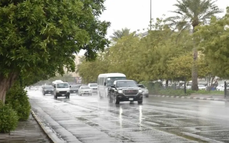 أمطار رعدية على 4 مناطق.. ورياح مثيرة للغبار تضرب 9 مناطق – أخبار السعودية