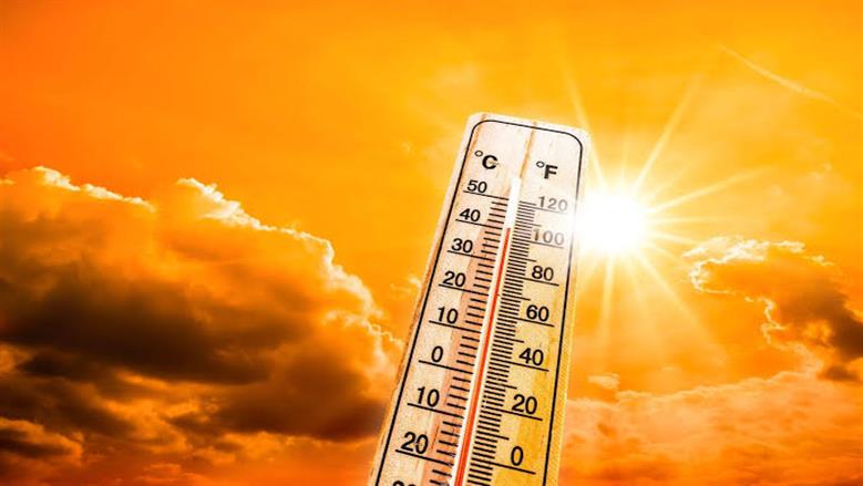 الأرصاد تحذر من طقس الأسبوع المقبل.. شبورة وارتفاع درجات الحرارة بهذه المناطق