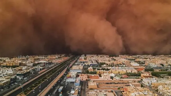 السعودية تخفض العواصف الغبارية بـ 62%