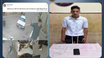 القبض على عامل متهم بسرقة هاتف فتاة بأسلوب الخطف في البحيرة