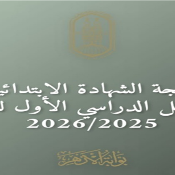 ظهرت الآن.. نتيجة الشهادة الابتدائية الأزهرية كاملة 2026 في كل المحافطات