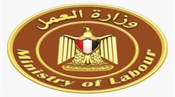 لأصحاب المؤهلات المتوسطة.. وظائف من وزارة العمل بمرتب 12 ألف جنيه شهريا