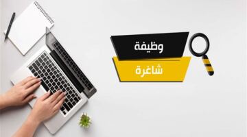 وظائف شاغرة في بنك مصر للخريجين.. شروط وخطوات التقديم