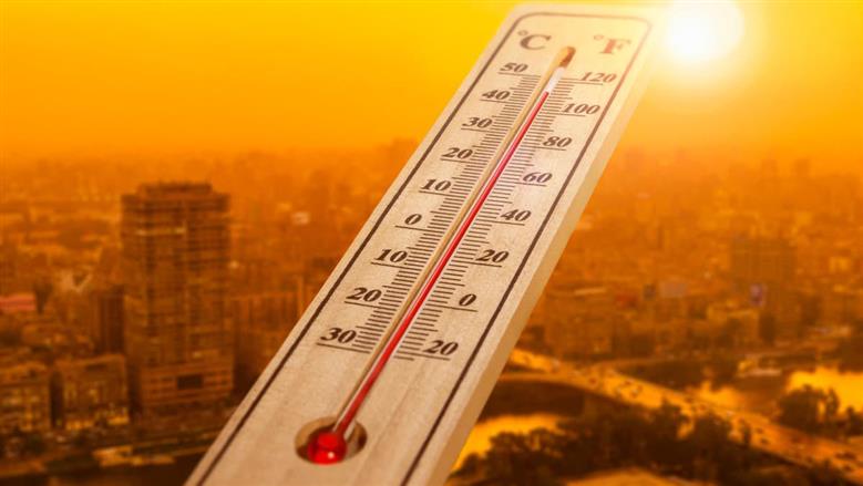 توقعات الطقس غدا: تراجع طفيف في درجات الحرارة مع استمرار الرطوبة والشبورة