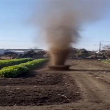 الأرصاد تكشف حقيقة ظاهرة عفريت الغبار وتأثيرها على الأجواء خلال فصل الصيف