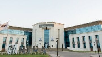 الجهاز القومي لتنظيم الاتصالات يتيح مجدداً الاستعلام عن أرقام الهاتف عبر تطبيقه