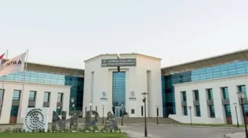 تلاعب بهوية المواطنين.. إجراءات صارمة من تنظيم الاتصالات بشأن خطوط المحمول المسجلة
