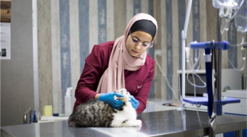 تنسيق القبول بالمرحلة الثانية يضم 20 كلية طب بيطري لطلاب علمي علوم