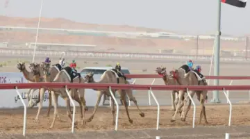 ثنائية نور وغازي تخطف الأضواء وتسجل أسرع توقيت بمهرجان العين للثنايا