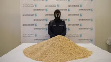 جمرك الحديثة يضبط شحنة عدس محملة بأكثر من مليون وتسعمائة ألف حبة مخدرة